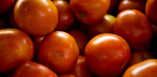 Cebola e tomate ficam mais baratos nas centrais de abastecimento