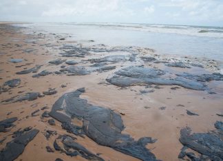 Sobe para 53 número de municípios atingidos por óleo no Nordeste