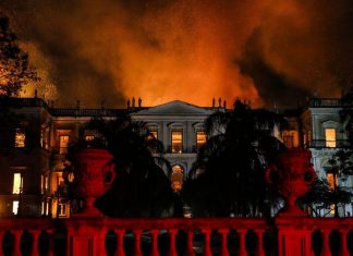 UFRJ lança campanha pela recomposição do Museu Nacional