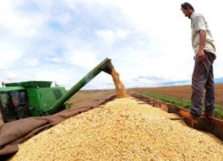 Valor de produção agrícola de 2018 bate recorde, com R$ 343,5 bilhões