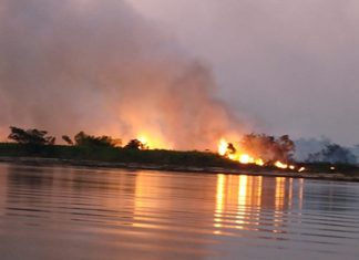 Bombeiros combatem foco de incêndio no Pantanal