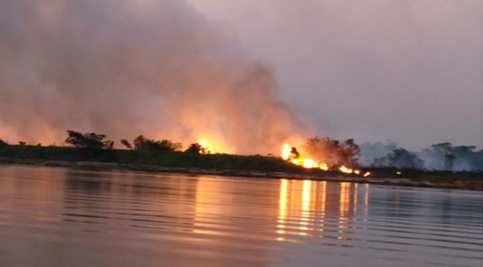 Bombeiros combatem foco de incêndio no Pantanal