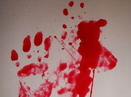Caso Raíssa e outros 5 crimes cometidos por crianças- Realidade que choca