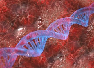 Cientistas descobrem molécula que poderá tratar câncer de ovário