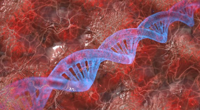 Cientistas descobrem molécula que poderá tratar câncer de ovário