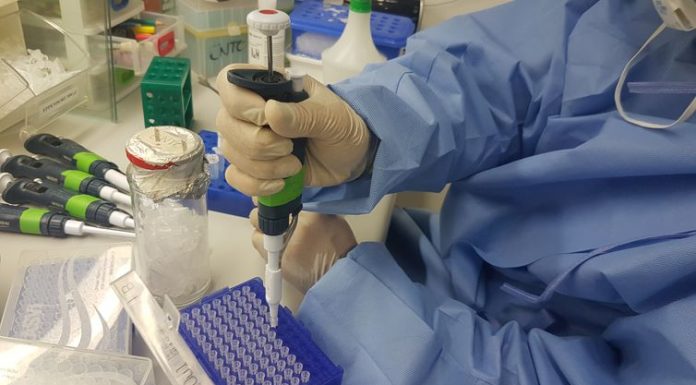 Exame para identificar Zika vírus é comercializado no país