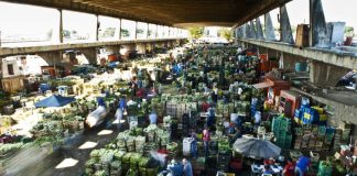 Governo paulista anuncia que Ceagesp terá nova sede