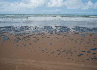 Petrobras recolhe mais de 133 toneladas de resíduo oleoso de praias