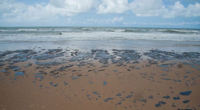 Petrobras recolhe mais de 133 toneladas de resíduo oleoso de praias