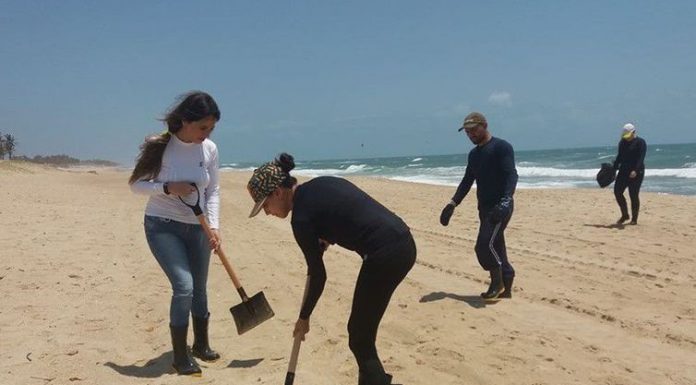 Petrobras retira mais de 200 toneladas de resíduo oleoso de praias