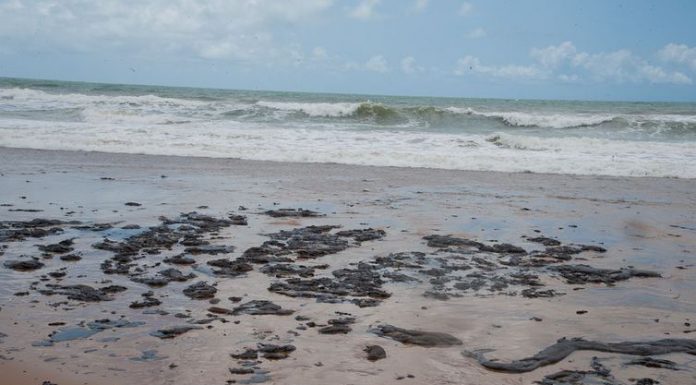 Salles: manchas de óleo em praias são caso de poluição sem precedente