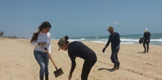 Amostras de peixe apresentam níveis de contaminação por óleo