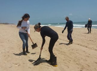 Amostras de peixe apresentam níveis de contaminação por óleo