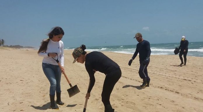 Amostras de peixe apresentam níveis de contaminação por óleo