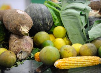 Banco de alimentos de Osasco arrecada mais de 1 tonelada em 2022