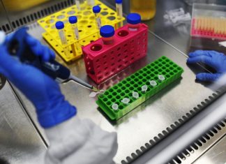 Coronavírus: Reino Unido anuncia investimento bilionário em vacinas