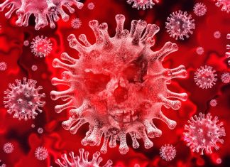 Covid-19: Brasil passa da marca de mil mortes registradas por dia