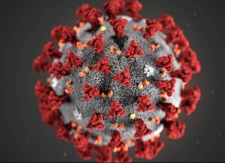 Covid-19: Brasil tem 168 mil casos confirmados e 11,5 mil mortes