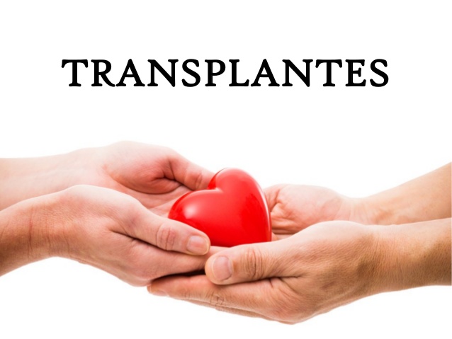 transplantes-1-638