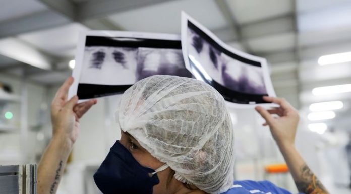 SP registra mais de 9 mil óbitos e 140,5 mil casos de coronavírus