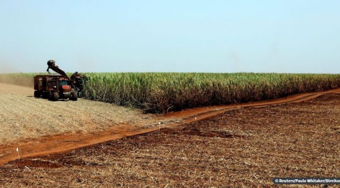 Estimativa de junho prevê safra recorde de 247,4 milhões de toneladas