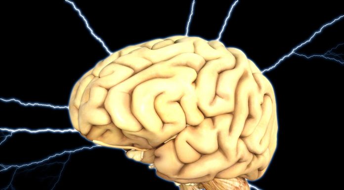 Atletas adotam exercícios cerebrais para melhora da performance