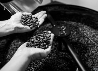 Exportação de café cai 3,6% na safra 2019-2020, mas bate recorde