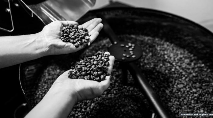 Exportação de café cai 3,6% na safra 2019-2020, mas bate recorde