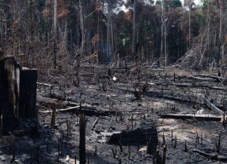 Bolsonaro: críticas ambientais que o Brasil sofre são injustas