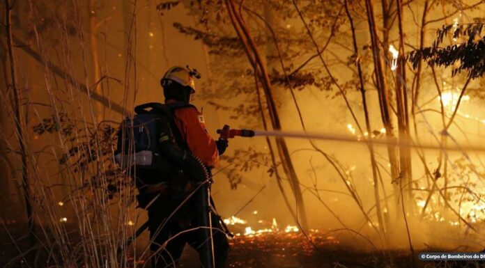Incêndio atinge área de 163 hectares na Floresta Nacional de Brasília
