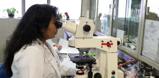Campanha #CientistaTrabalhando chama atenção para processo científico