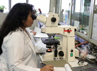 Campanha #CientistaTrabalhando chama atenção para processo científico