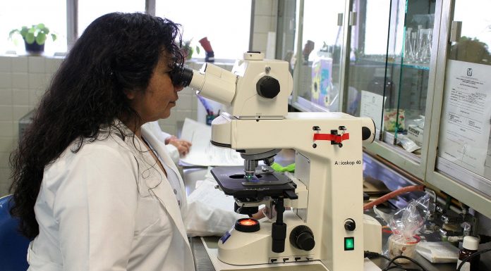 Campanha #CientistaTrabalhando chama atenção para processo científico