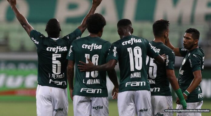 palmeiras