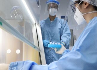 Estudo brasileiro aponta que covid-19 pode causar danos cerebrais