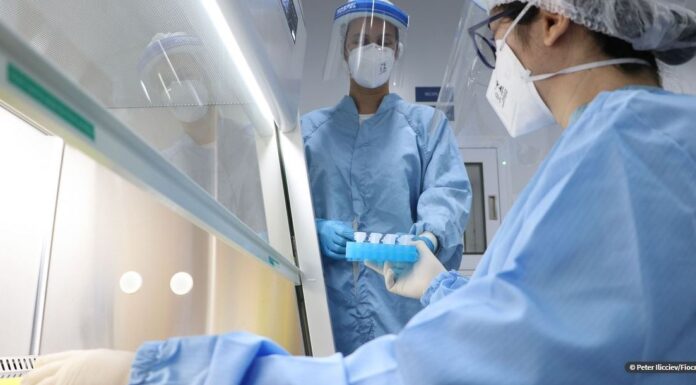 Estudo brasileiro aponta que covid-19 pode causar danos cerebrais