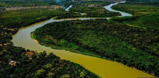Perícia afirma que incêndio no Pantanal mato-grossense foi intencional