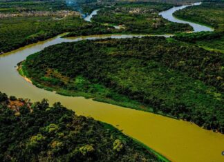 Perícia afirma que incêndio no Pantanal mato-grossense foi intencional