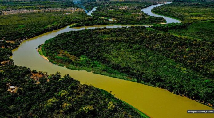 Perícia afirma que incêndio no Pantanal mato-grossense foi intencional