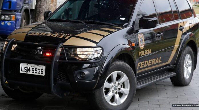 PF faz operação contra contrabando de marfim em São Paulo
