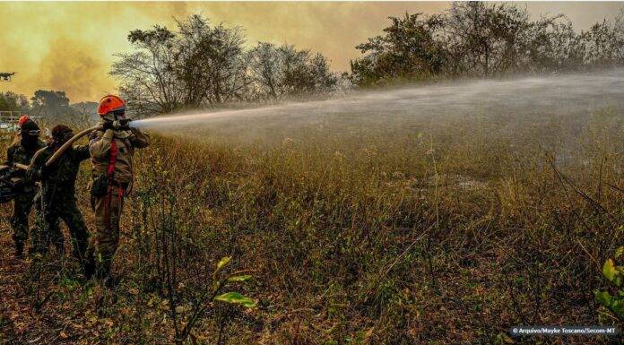 Governo manda 71 soldados para reforçar combate a fogo no Pantanal