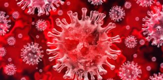 Estudo comprova presença do coronavírus no cérebro de pacientes