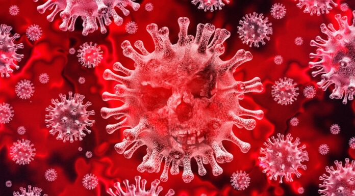 Estudo comprova presença do coronavírus no cérebro de pacientes