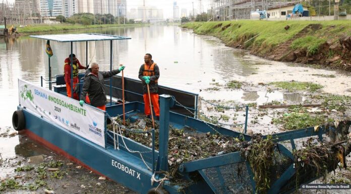 Rio Pinheiros pode ter maior cinema a céu aberto da América Latina