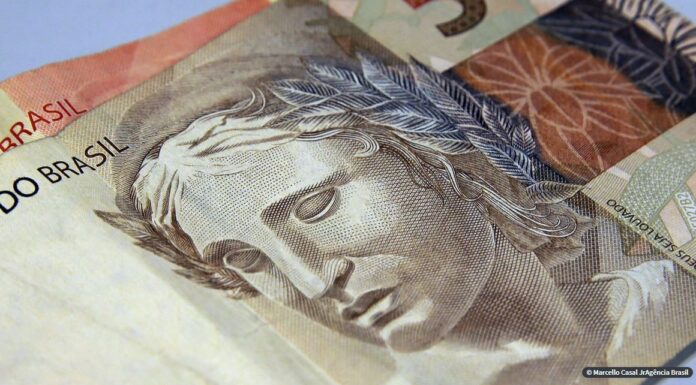 Seis milhões de pessoas pediram empréstimo na pandemia, diz IBGE