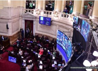 Senado da Argentina aprova aborto legal nesta quarta-feira