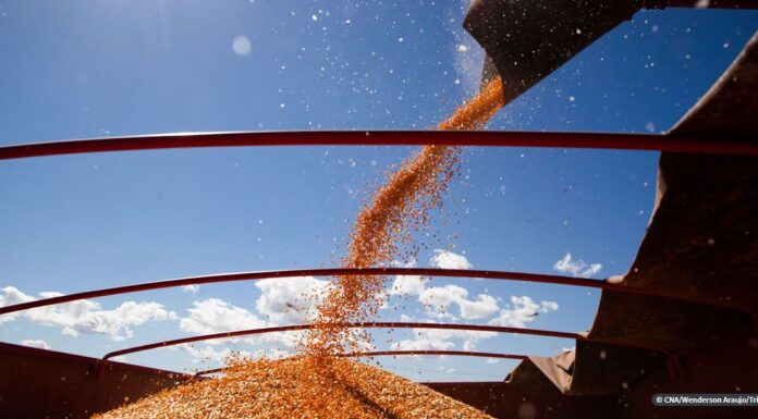 CNA prevê aumento da produção do agronegócio no próximo ano