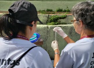 Chuvas e pandemia não inibem trabalho constante de combate à dengue em Barueri