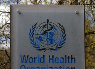 Brasil é o representante das Américas em grupo da OMS sobre pandemias