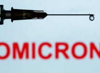 Descoberta de Ômicron em animais em Nova York gera preocupação